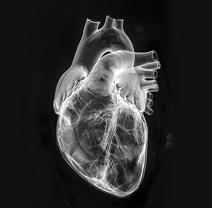 The Quiet Rise of Preventative Cardiology